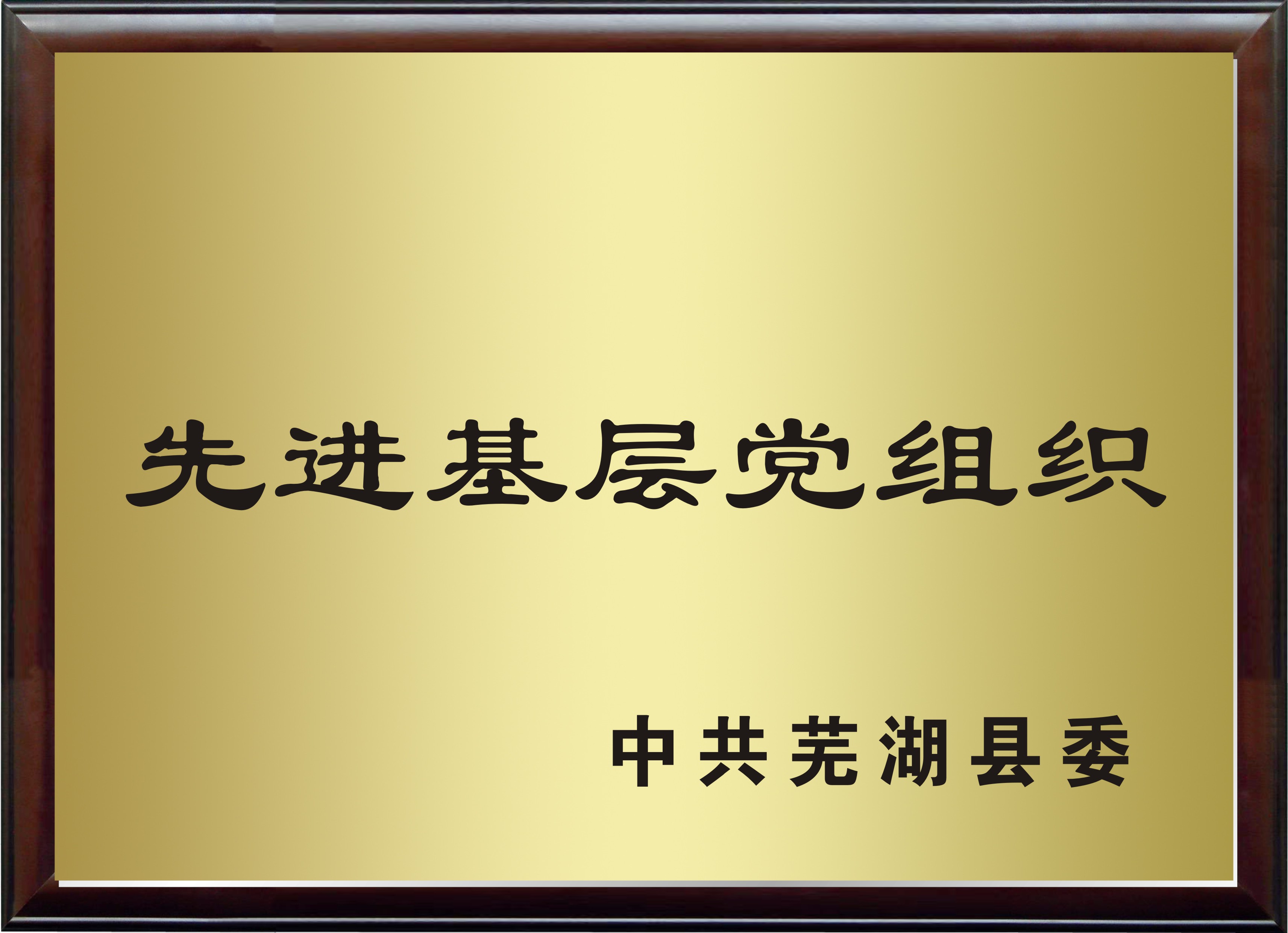 ЌW(xu)su(y)չʾ