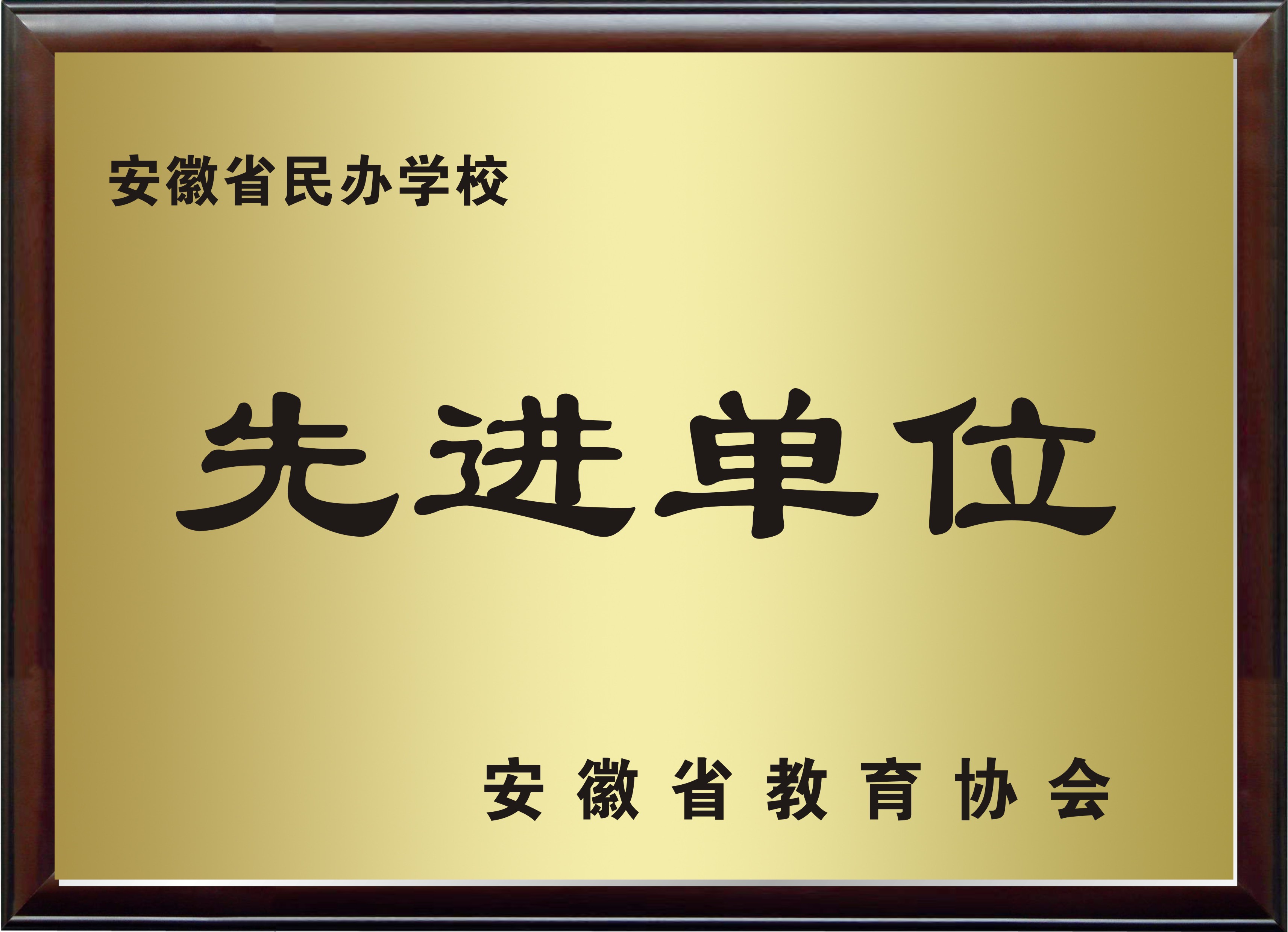 ЌW(xu)su(y)չʾ